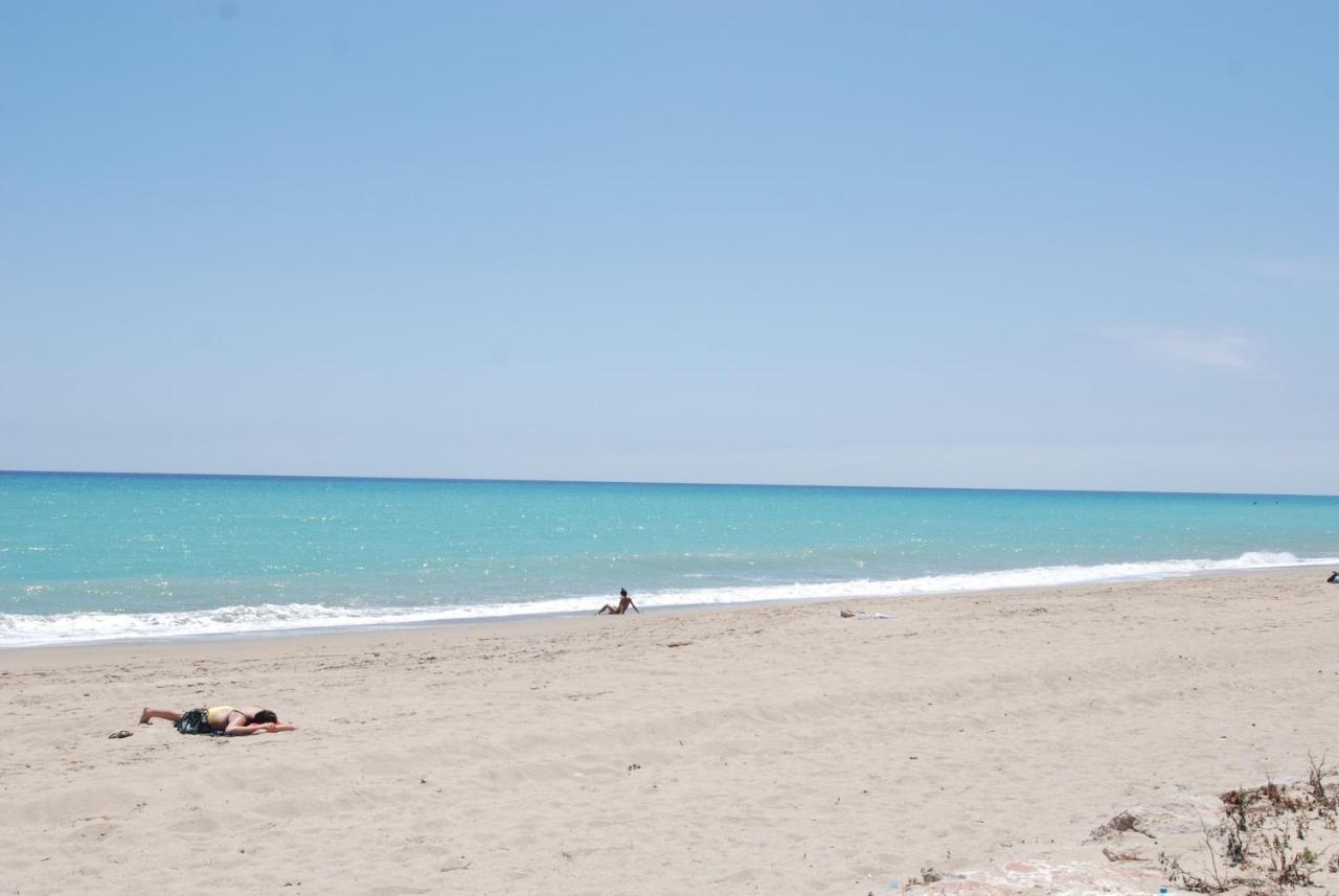 Zeus Guardamar Seaview Apartment Miami Playa Екстериор снимка